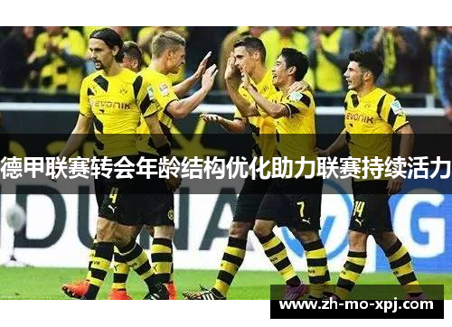 德甲联赛转会年龄结构优化助力联赛持续活力